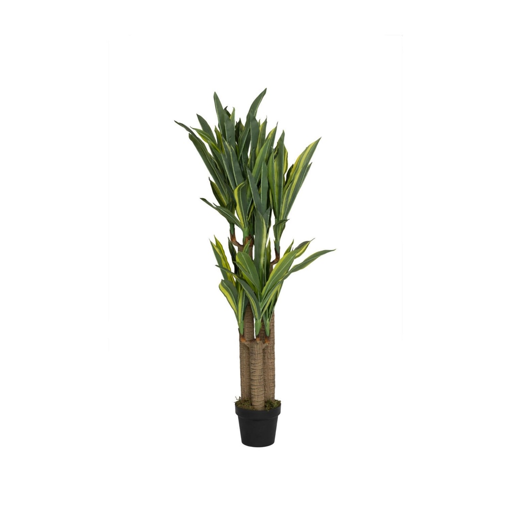 Dracena (künstliche Pflanze)