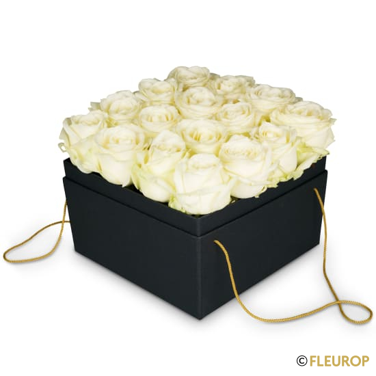 Blumenbox «Florence» (20 cm)